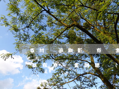 支付寶逾期影響京東金融嗎(支付寶逾期了可以在京東金融借錢(qián)嗎)