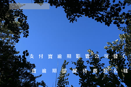 支付寶逾期影響公司發(fā)工資嗎(支付寶逾期提醒待遇怎么樣)
