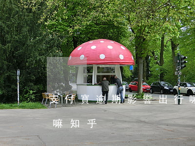 支付寶逾期影響出行嘛(支付寶逾期影響出行嘛知乎)