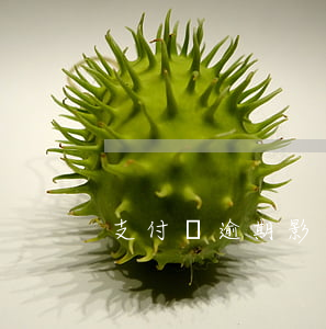 支付寶逾期影響子女考教師