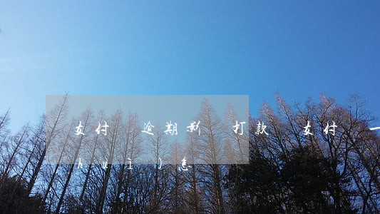 支付寶逾期影響打款嗎(支付寶一直逾期會(huì)怎樣)