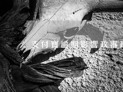 支付寶逾期影響政審(政審查支付寶)