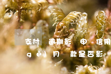 支付寶逾期影響申請信用(支付寶逾期半個(gè)月還款是否影響信用)