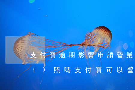 支付寶逾期影響申請營業(yè)執(zhí)照嗎(支付寶可以營業(yè)執(zhí)照年審嗎)