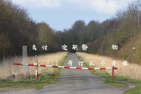 支付寶逾期影響購物嗎-支付寶逾期會(huì)有什么不方便