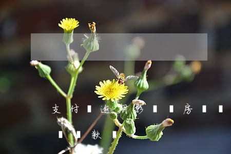 支付寶逾期影響辦房貸嗎(支付寶逾期銀行能辦貸款嗎)