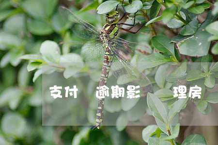 支付寶逾期影響辦理房貸嘛