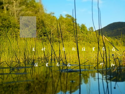 支付寶逾期往里面存錢會秒扣嗎(支付寶逾期往里面存錢會秒扣嗎)