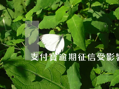 支付寶逾期征信受影響嗎（支付寶逾期扣征信）