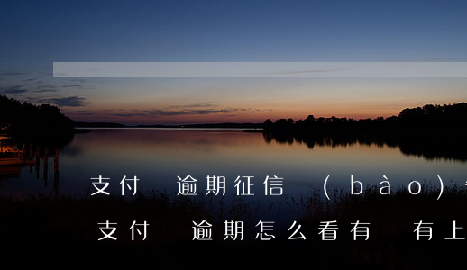 支付寶逾期征信報(bào)告可以查到嗎(支付寶逾期怎么看有沒有上征信)