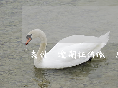 支付寶逾期征信撤銷成功