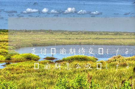 支付寶逾期待交費(fèi)是啥意思(支付寶逾期怎么收費(fèi))