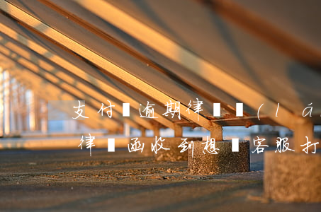 支付寶逾期律師來(lái)電(支付寶逾期律師函收到想給客服打電話應(yīng)該怎么說(shuō))