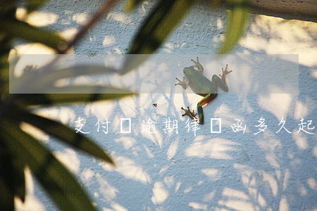 支付寶逾期律師函多久起訴