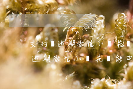 支付寶逾期微信小鵝花錢能申請嗎-支付寶逾期微信小鵝花錢能申請嗎安全嗎