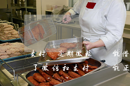 支付寶逾期微粒貸還能借嗎(借唄微粒貸逾期了微信和支付寶還能正常使用嗎)
