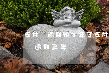支付寶逾期快3年了（支付寶網(wǎng)貸逾期三年）