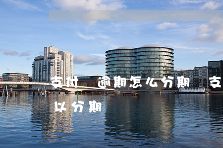 支付寶逾期怎么分期還（支付寶逾期還款還可以分期嗎）