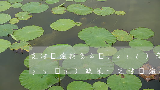 支付寶逾期怎么協(xié)商還款相關(guān)政策-支付寶逾期怎么協(xié)商還款相關(guān)政策呢
