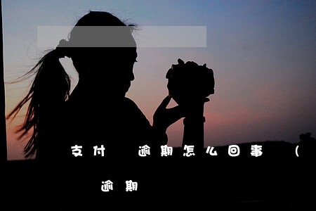 支付寶逾期怎么回事（關(guān)于支付寶逾期）