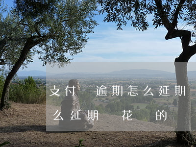 支付寶逾期怎么延期還花唄-支付寶逾期怎么延期還花唄的錢