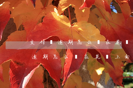 支付寶逾期怎么樣在花唄上面還款-支付寶逾期怎么樣在花唄上面還款呢