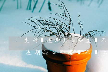 支付寶逾期怎么知道會不會上征信-支付寶逾期怎么知道會不會上征信記錄