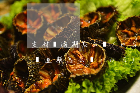 支付寶逾期怎么補(bǔ)卡還花唄-支付寶逾期怎么補(bǔ)卡還花唄的錢