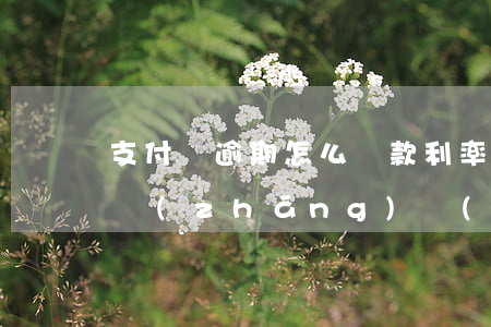 支付寶逾期怎么貸款利率(支付寶貸款逾期多長(zhǎng)時(shí)間會(huì)影響征信)