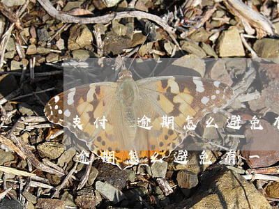 支付寶逾期怎么避免有一點錢就扣-支付寶逾期怎么避免有一點錢就扣了
