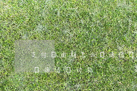 支付寶逾期怎么開通借唄-支付寶逾期怎么開通借唄功能