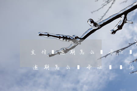支付寶逾期怎么顯示江蘇銀行借貸-支付寶逾期怎么顯示江蘇銀行借貸記錄
