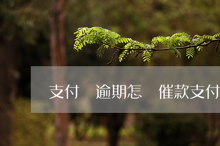支付寶逾期怎樣催款(支付寶逾期怎么溝通)