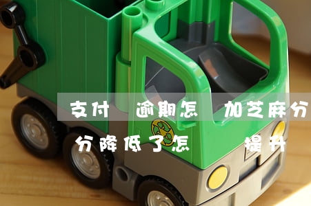 支付寶逾期怎樣加芝麻分(支付寶逾期后芝麻分降低了,怎樣來提升)