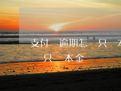 支付寶逾期怎樣只還本金(支付寶逾期可以申請只還本金嗎?)