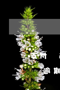 支付寶逾期怎樣聯(lián)系客服 支付寶逾期可以找支付寶客服協(xié)商嗎