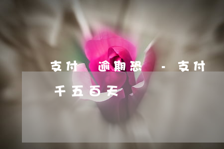 支付寶逾期恐嚇-支付寶逾期恐嚇說上門三千五百天