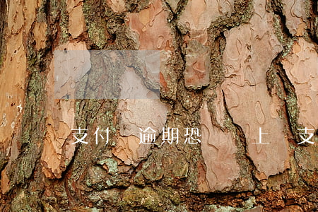 支付寶逾期恐嚇說上門（支付寶逾期上門騷擾）