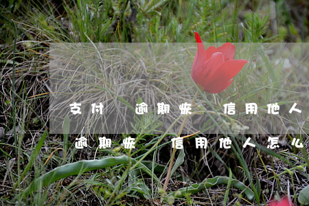 支付寶逾期恢復信用他人怎么幫忙-支付寶逾期恢復信用他人怎么幫忙還款