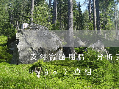 支付寶逾期情況分析(支付寶逾期后的調(diào)查組)
