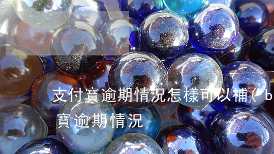 支付寶逾期情況怎樣可以補(bǔ)救（支付寶逾期情況）