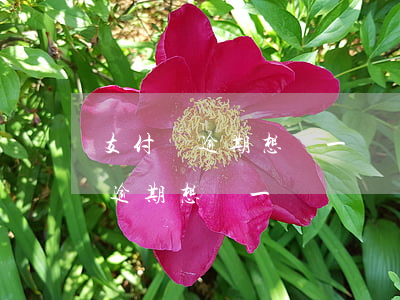 支付寶逾期想換一個閑魚號可以嗎-支付寶逾期想換一個閑魚號可以嗎安全嗎