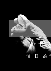 支付寶逾期慢慢還會(huì)被起訴嗎(支付寶逾期會(huì)不會(huì)起訴)