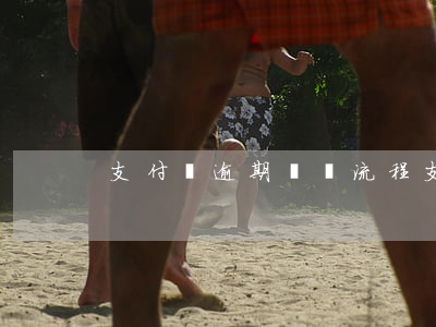 支付寶逾期應訴流程(支付寶逾期申述) 支付寶逾期應訴流程(支付寶逾期申述)