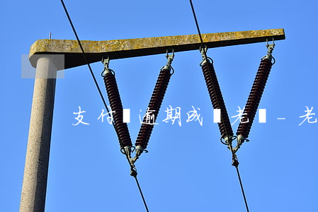 支付寶逾期成為老賴-老賴 支付寶