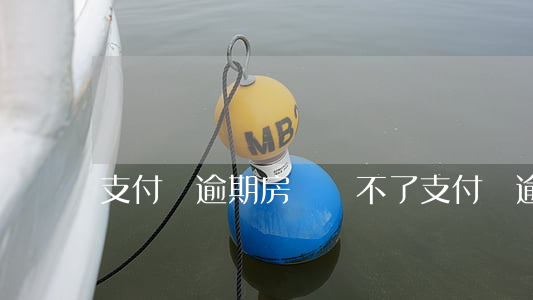 支付寶逾期房貸貸不了（支付寶逾期能辦理房貸嗎）