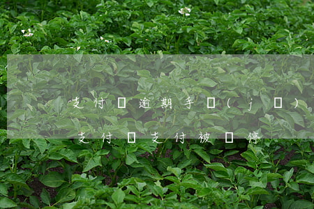 支付寶逾期手機(jī)暫停服務(wù)(支付寶支付被暫停)