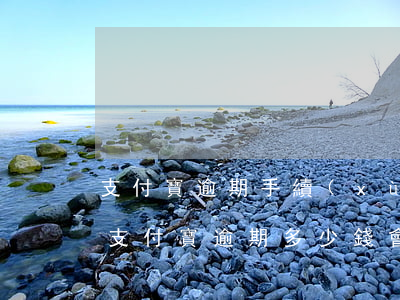支付寶逾期手續(xù)費(fèi)多少(支付寶逾期多少錢會(huì)起訴)