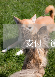 支付寶逾期打村委電話如何處理？