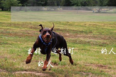 支付寶逾期打轉過賬的人(支付寶逾期打轉過賬的人)